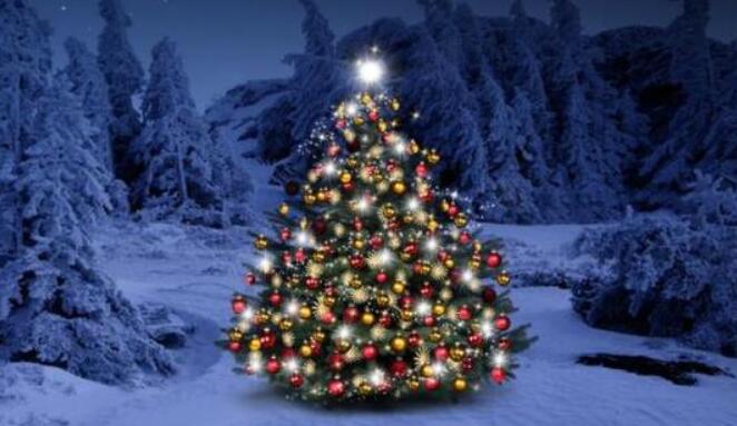 关于圣诞节的语句文案