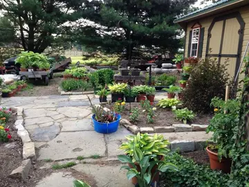 赞美庭院花园的句子文案