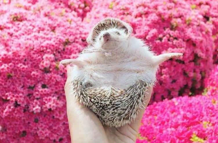 经过努力而蜕变的句子文案