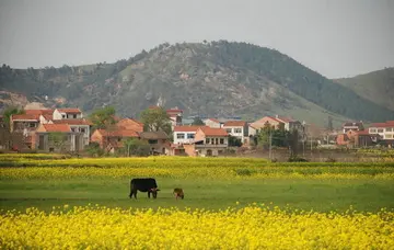 夸农村风景好的句子文案