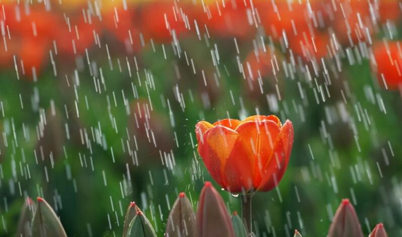 下雨天心情的句子文案