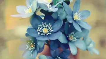 形容人很开心的优美句子文案