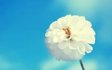 励志唯美的句子文案女生版