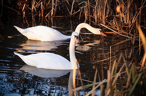 新婚快乐的祝福语