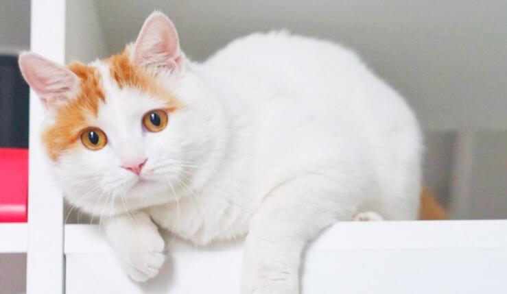 结束周末愉快的句子文案