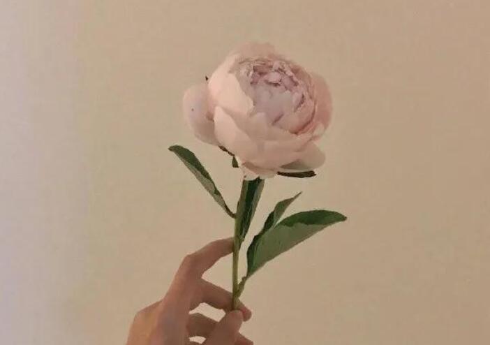 深夜暖心情话文案