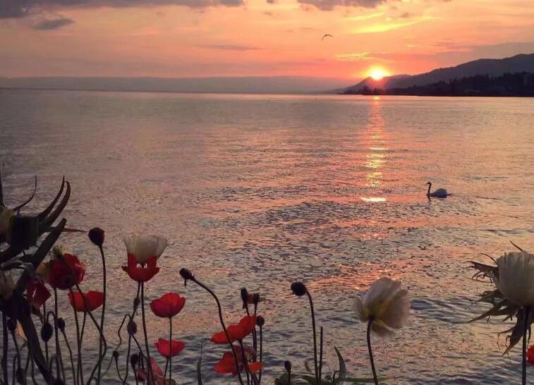 一盏灯的励志句子文案