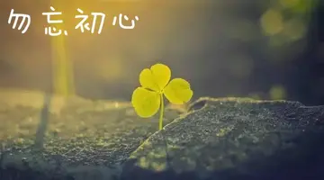 不忘初心的唯美句子文案