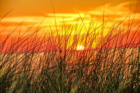 助学金感恩小短句