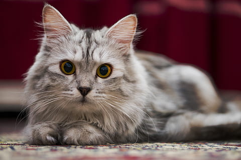 学习励志句子文案