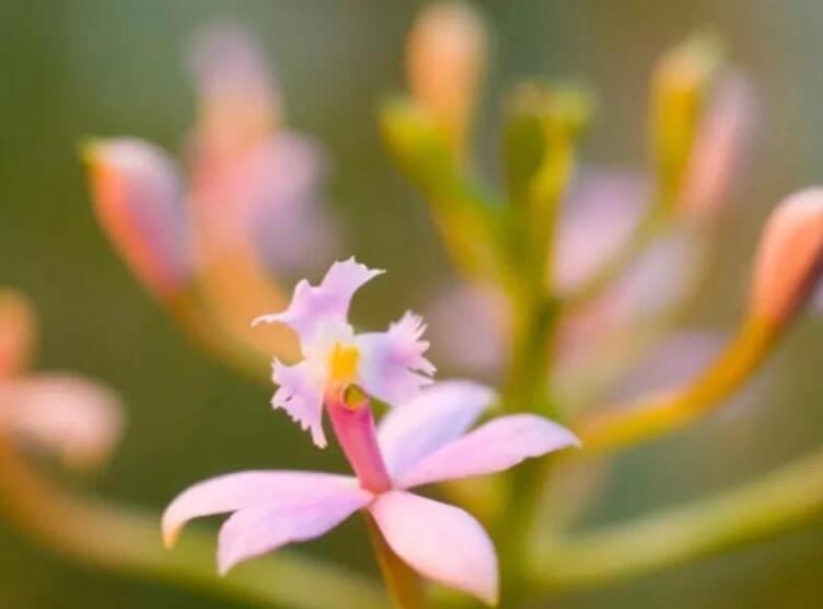 你在北方我在南方说说文案