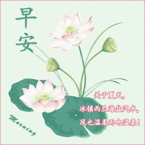 每日一句早安问候语