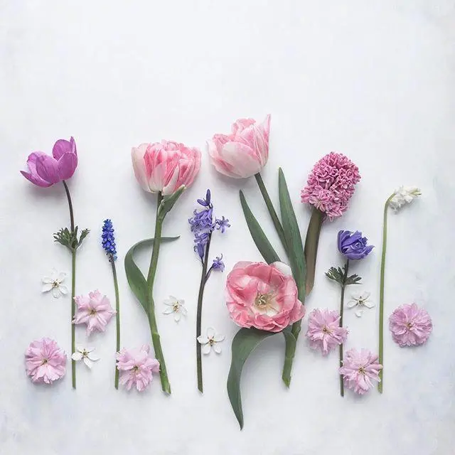 祝福最好的朋友的短句