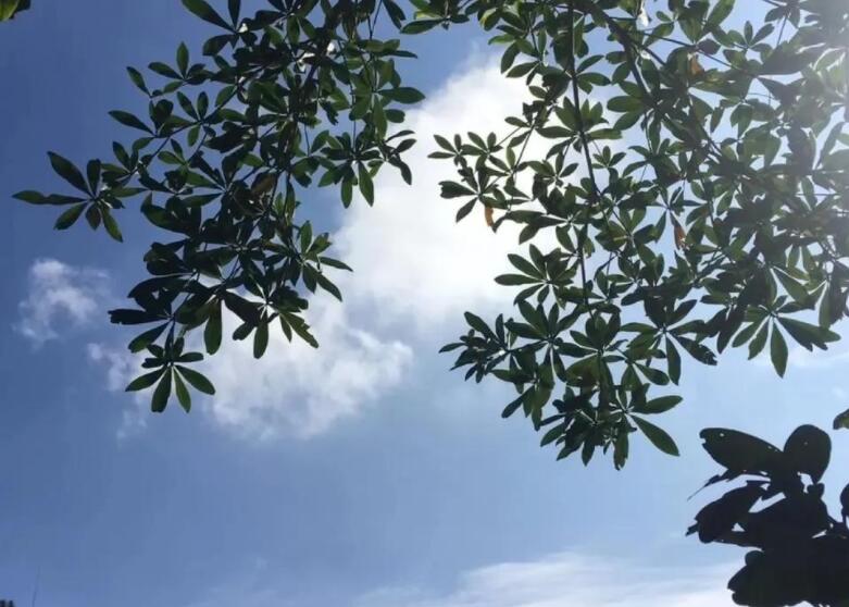 我回来了发说说文案心情