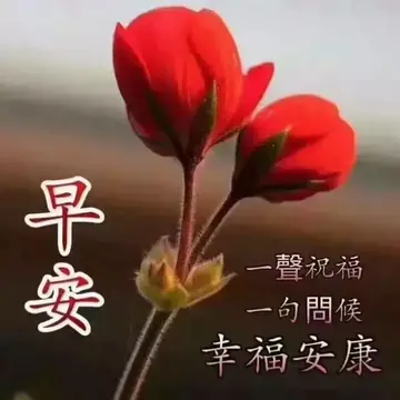 早上情人温馨问候短信
