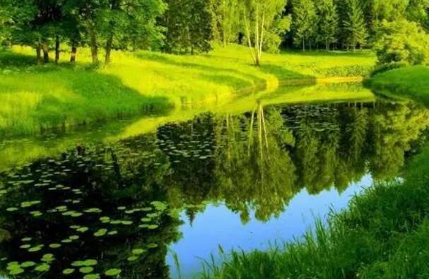 保护环境的句子文案40字