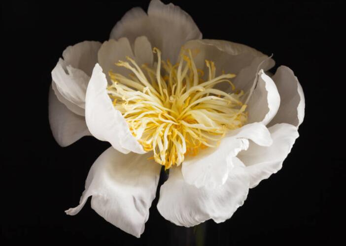 霸气伤感文案短句