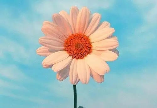 优秀的早安心语