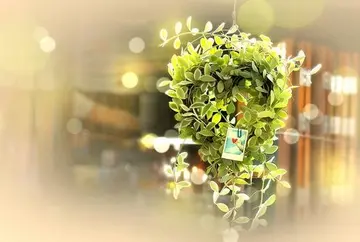 激励人走出失恋的句子文案