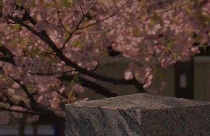 晒幸福的句子文案简短