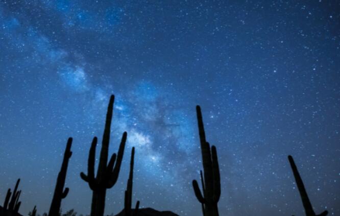 人这一生有太多的无奈和心酸说说文案