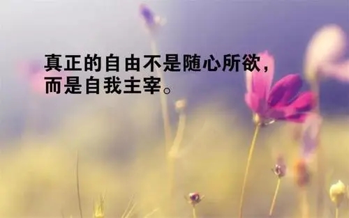 精辟的十字短句