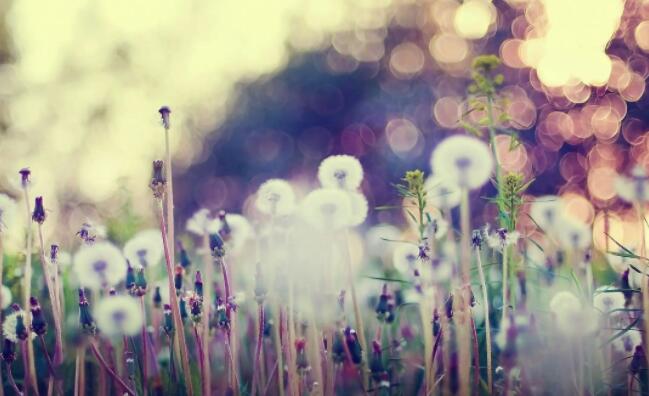 感情失望的句子文案