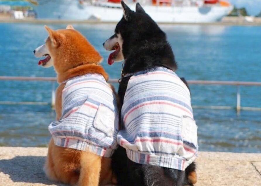 适合发说说文案的文艺长句