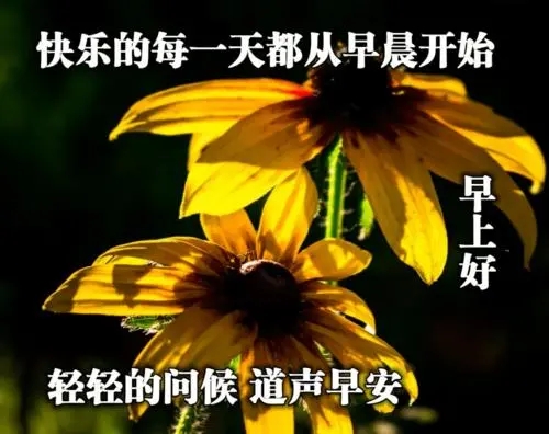 简短微信群早安问候语