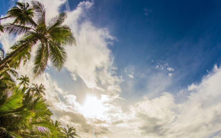 姐妹生日祝福语一句话