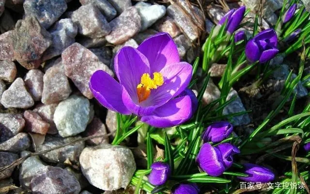 失恋的句子文案句句扎心