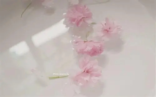 形容人简单干净的句子文案