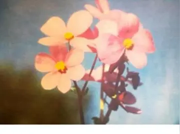 十字经典名言名句文案