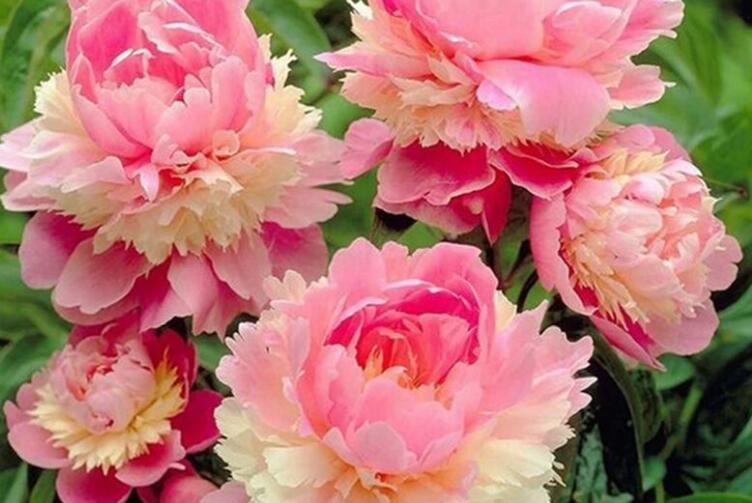 鬼谷子37句名言