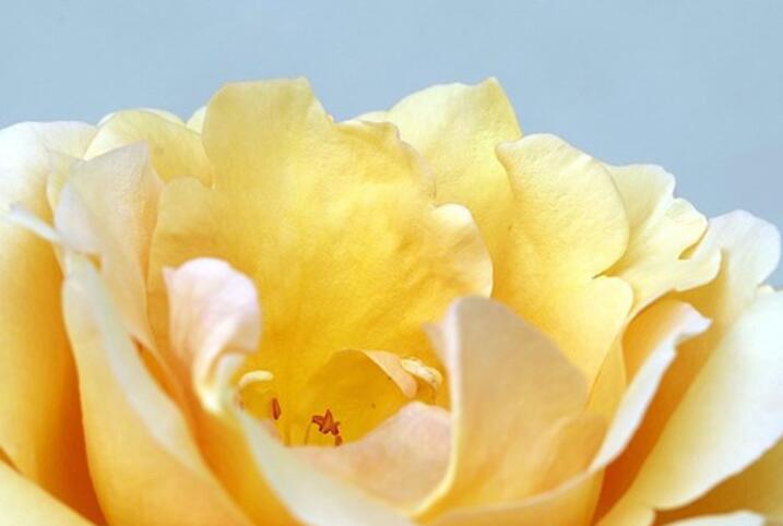 口琴说说文案心情短语人生感悟