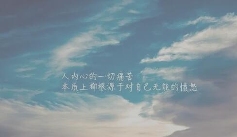 校园暴力正能量语录文案