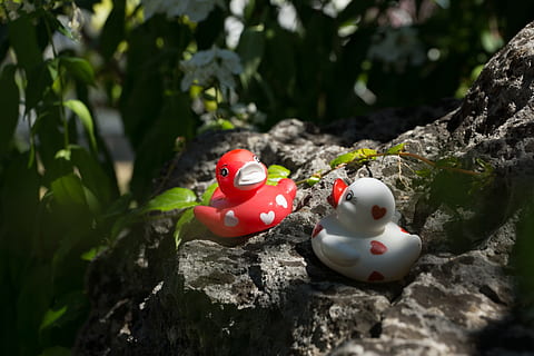 2024情感语录文案