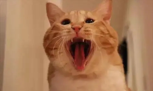 生气委屈的句子文案