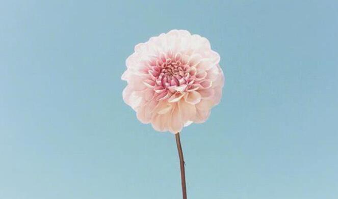 简短的人生观句子文案