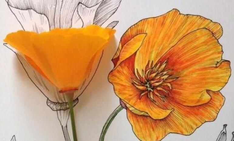 夸人会享受生活的句子文案