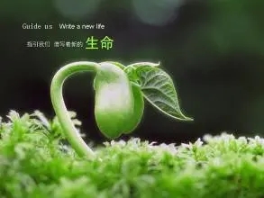 比喻生命可贵的句子文案