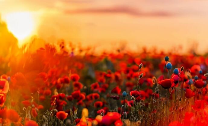 感恩一路有你经典语录文案