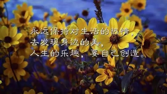 表达对人有好感的句子文案