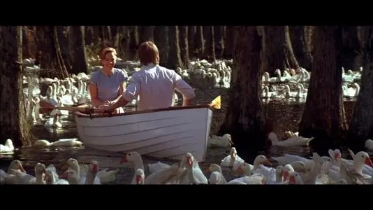 恋恋笔记本台词长截图