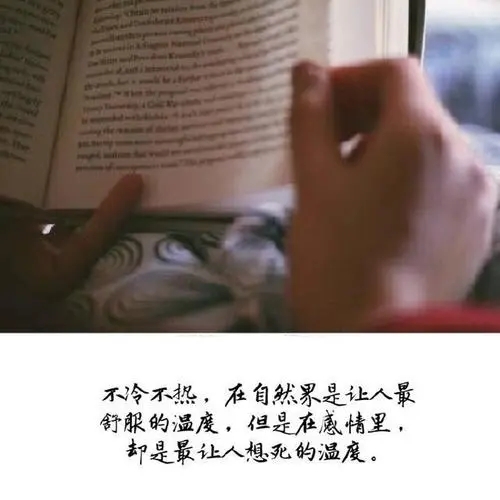 表达情怀的动人句子文案