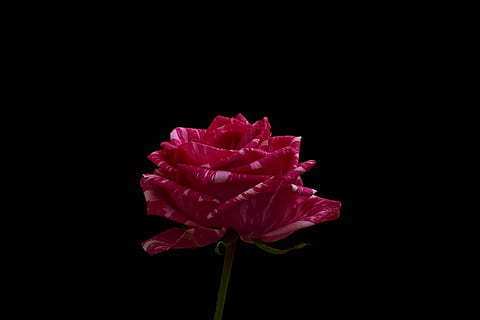 助学金感恩小短句