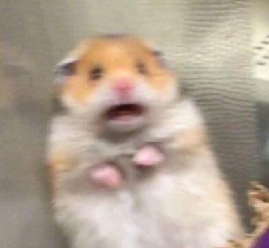 表示很害怕的句子文案