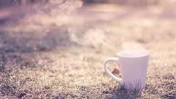 好的开头摘抄大全20字