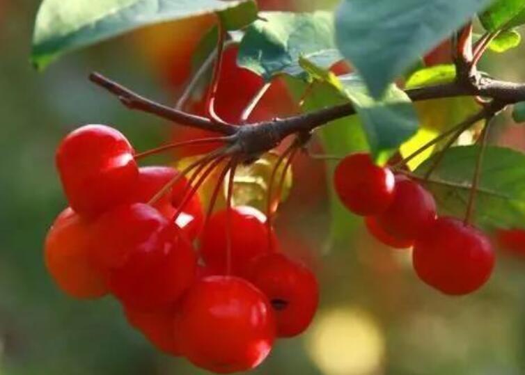 祝愿公司发展蒸蒸日上的话