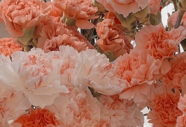 深入人心的八个字句子文案